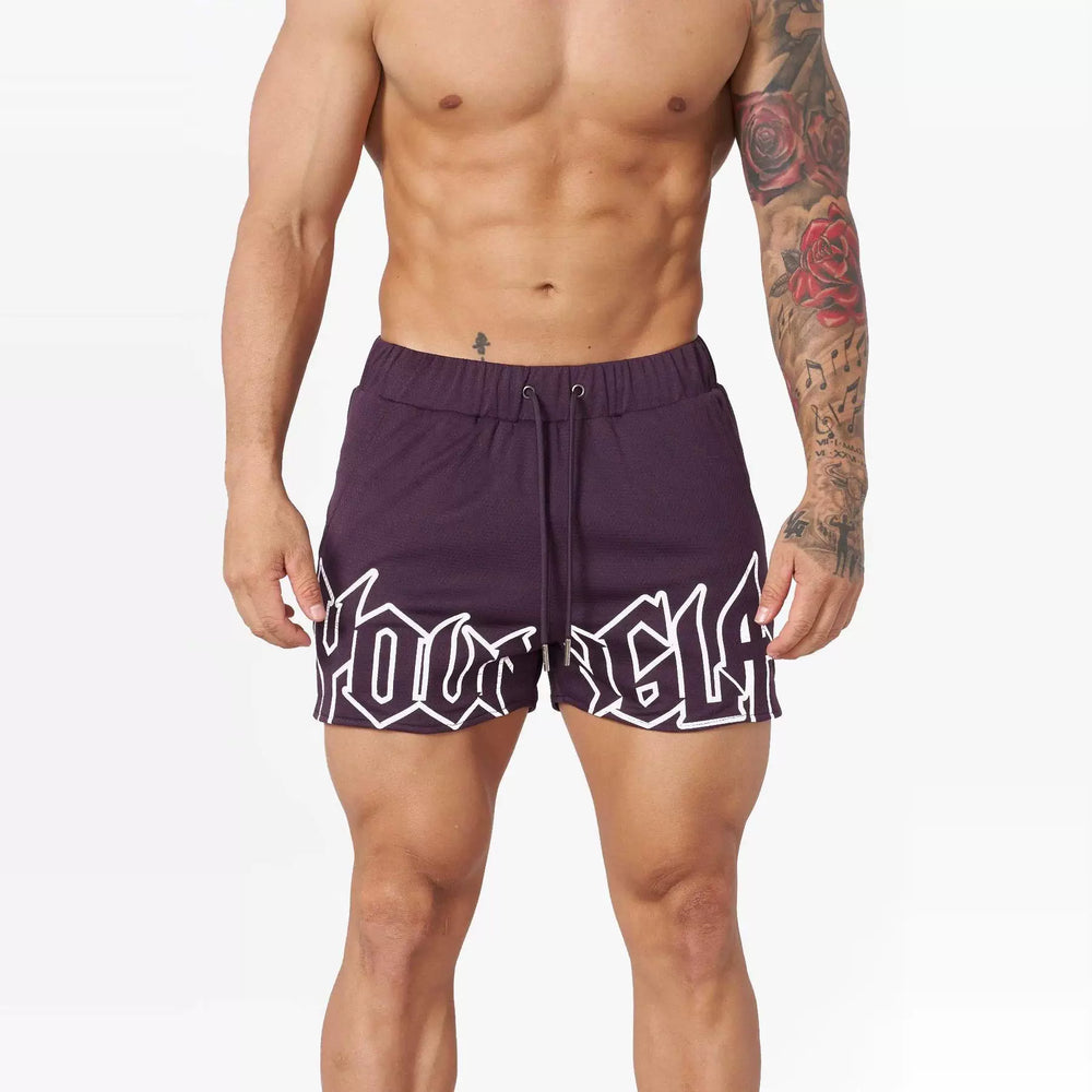 YOUNG LA Summer New Sports and Fitness Shorts Mesh Quick drying Breathable Basketball Training Shorts Casual Beach Shorts