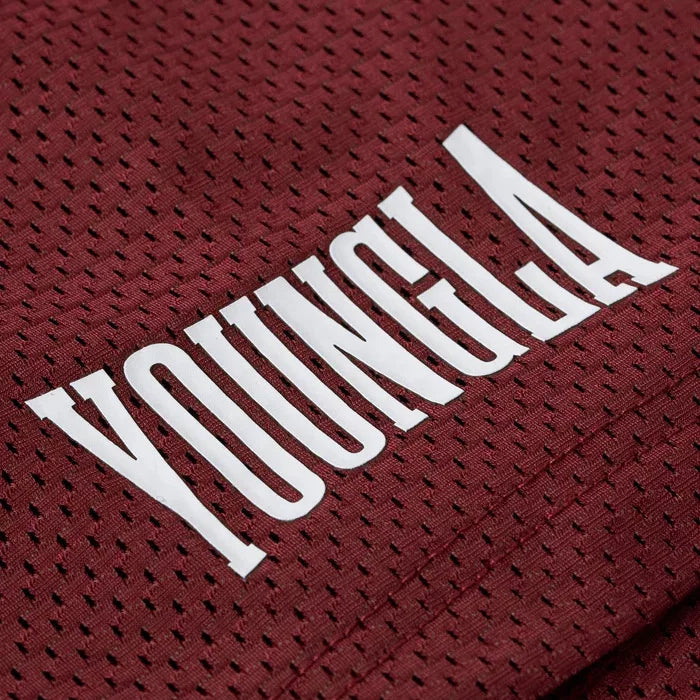 YOONGLA Summer Men's Shorts Jogger Muscle Exercise Fitness Mesh Quick Drying Breathable Training Beach Pants